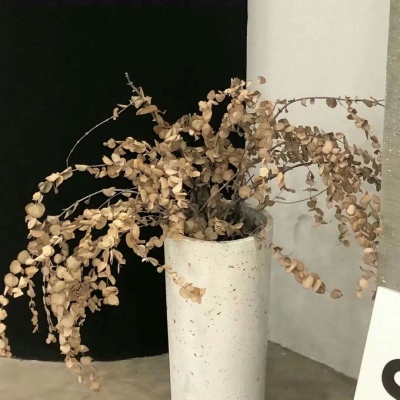 Furry数位板绘画入门技巧福瑞群